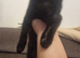 4 kittens urgent rehome