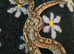 Proven, RTB and adult royal pythons** 300 if gone today only **
