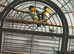Selling all my parrots.