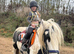 Misty 9 Year Old Cob