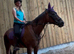 Companion/Retirement Home Needed for Thoroughbred Mare