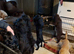 cockerpoo puppies for sale