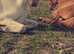 Welsh gelding