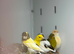 Canaries