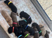 Chocolate/Yellow/Black KC Registered Labrador Retrievers