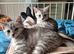 Beautiful brothers