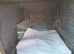 2 baby Lion lops for sale with double hutch included