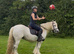 Family pony