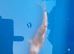 japanese koi goromo 20cm