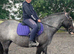 Ultimate safe allrounder pony