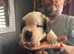 Saint Bernard