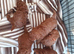 COCKAPOO PUPPYS FOR SALE F1B