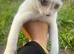 Free kitte
