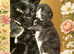 Beautiful Mum and Baby