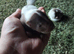 Skunks for sale