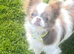Stunning lilac parti Longcoat female