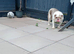 Rehome