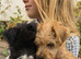 Stunning Cairn x Fox Terrier Puppies