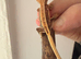 Last baby crested gecko