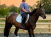 Very Smart Mare