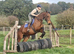 Super quiet allrounder