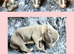 STUNNING BLUE/FAWN & BLUE/WHITE STAFFORDSHIRE BULLTERRIER PUPPIES FOR SALE