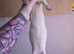 Albino Jill