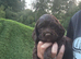 2 Sprocker spaniel Puppies
