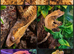 Pixels and Tigers