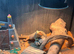 Bearded dragon & enclosure for sale