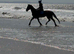 14.2 section D mare