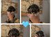 Cockerdales (patterdale cross cocker spaniel)