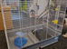 Cage for birds