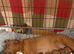 LAST ONE STUNNING RED STAFFORDSHIRE BULL TERRIER PUPPIES️️