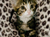 Lovely kitten's