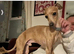 Stunning boy and girl available