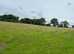 Holiday/injury rehab/retired grass livery available