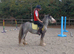 Blue Blagdon Cob mare 12.1hh ride/drive
