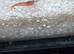 Mixed shrimps