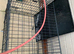 Bird cage (without tray) and pets cage