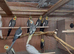 Adult Grey Cockatiels Males Only