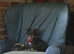 K.C reg with all her papers, Stunning Russian/ Thai . Called Luna .