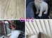 kittens ready to leave now