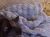 Golden oldies rescue chi