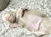 KC REGISTERED FULL PEDIGREE Miniature smooth coat Dachshund Puppies!