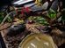 4x2x2 Bioactive Setup & Sub-Adult Ivory Royal Python