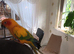 DNA Sun conures + cage