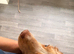 Cocker spaniel