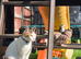 Female cat in Wembley