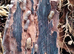 Dryadillo / Sinadillo Starsky Isopod